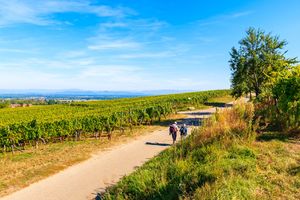 Mountains & Vineyards of Alsace - 8 days