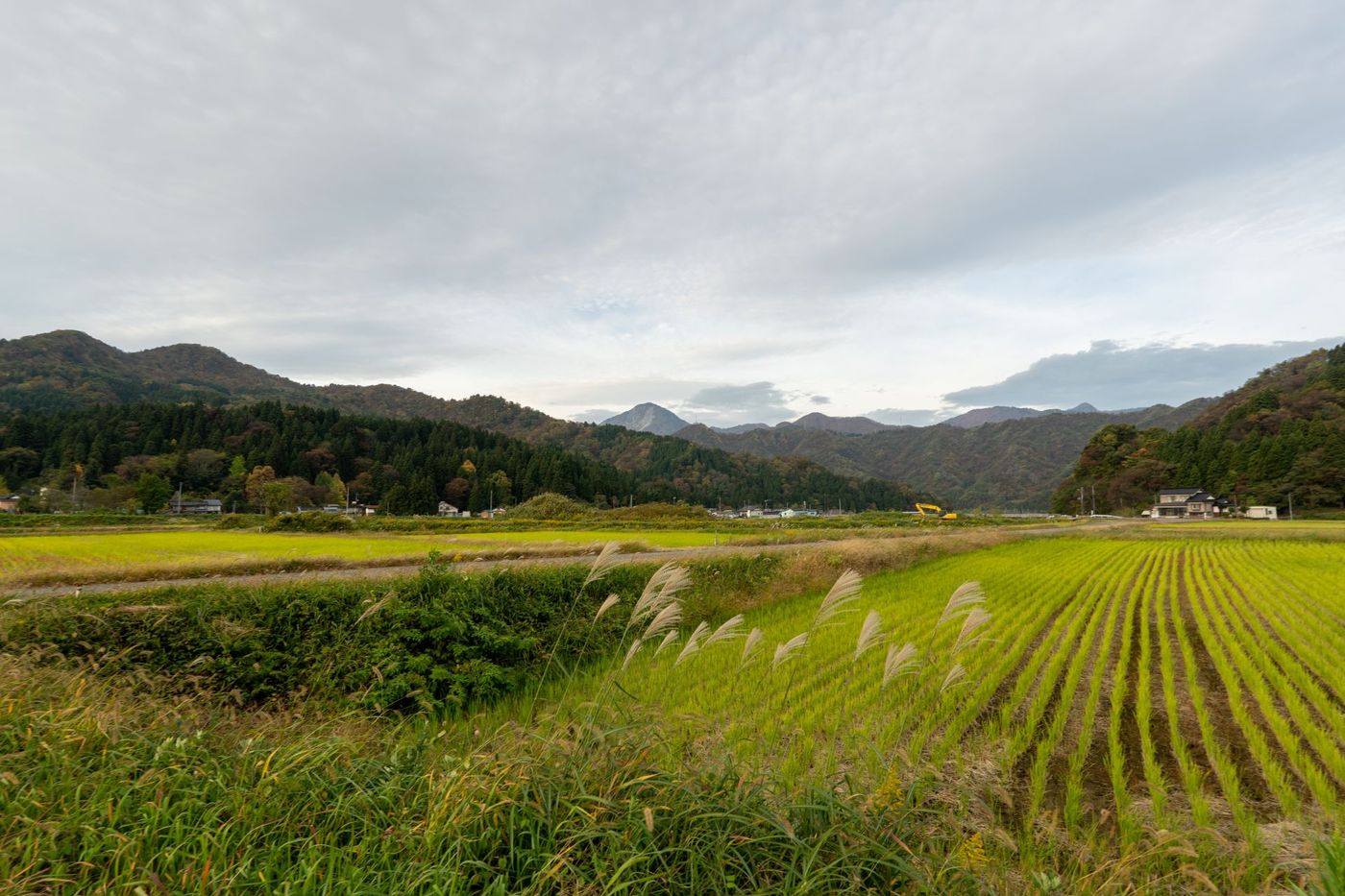Historic old road “Salt Road” which is also a long distance hiking course and its surroundings