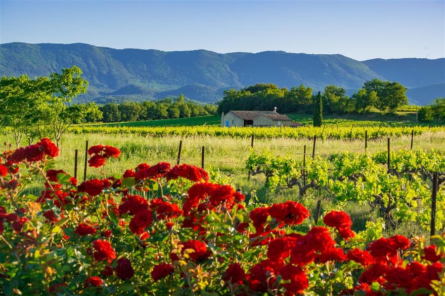 idyllic Provincial winery