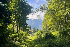Julian Alps