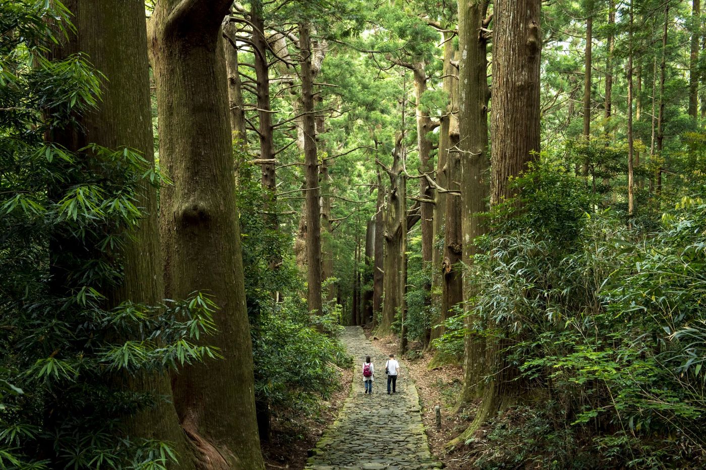 Kumano-Kodo-old-pilgrimage-road