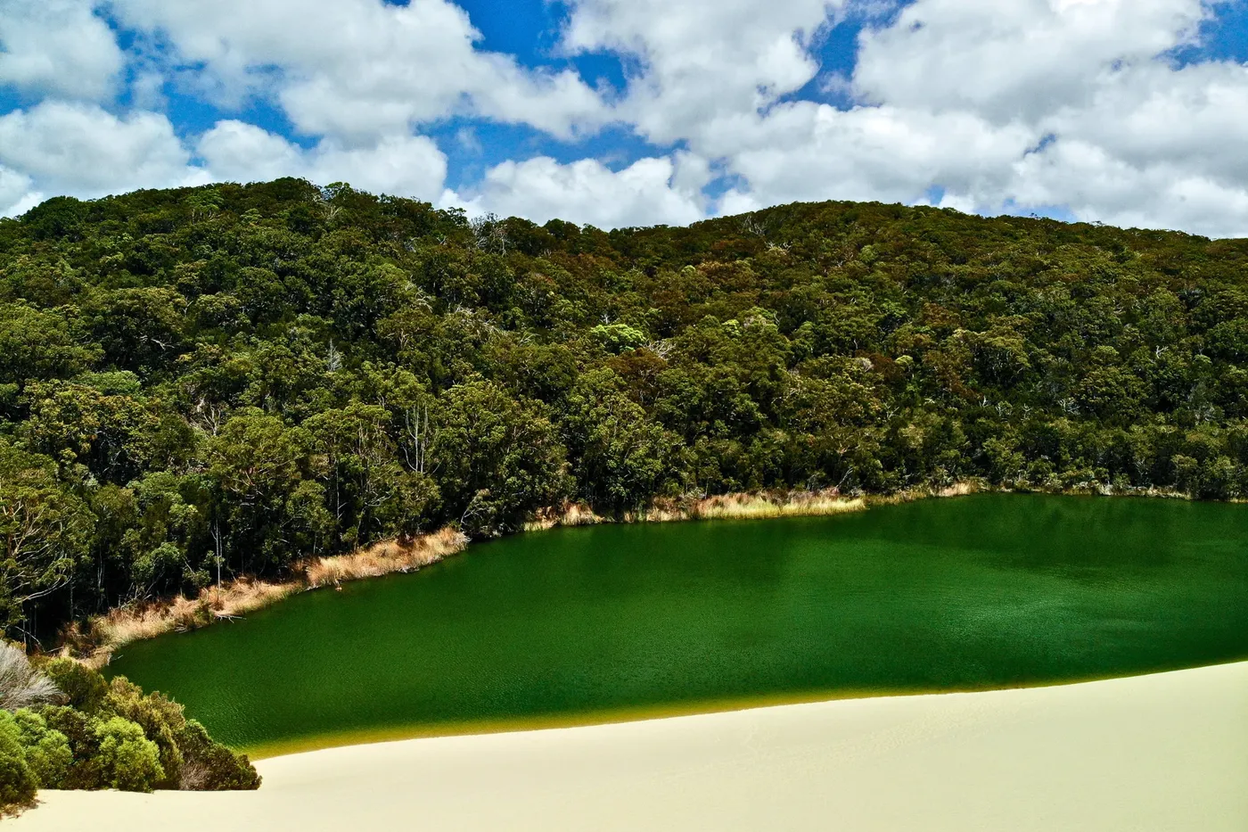 LAKE WABBY (2)