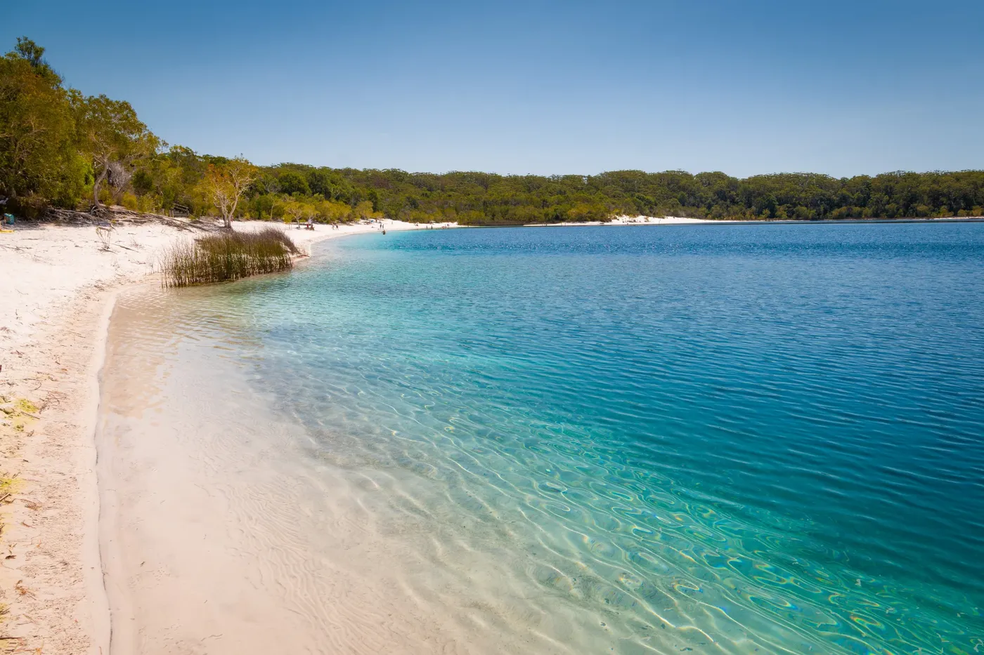 Lake Mckenzie (2)
