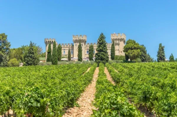 Le Château Fines Roches 4 View