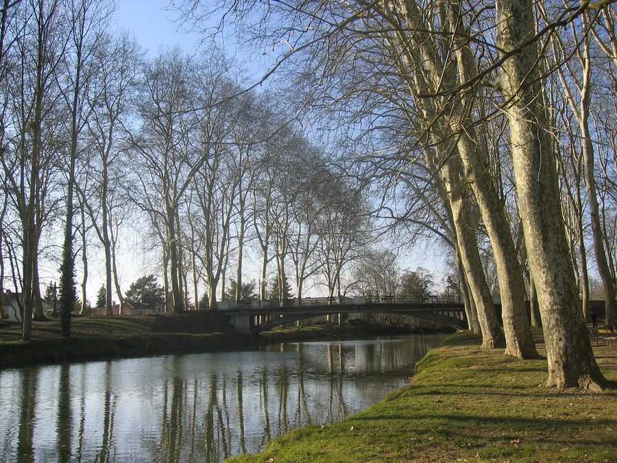 Luy River Serenity - ARTHEZ DE BÉARN