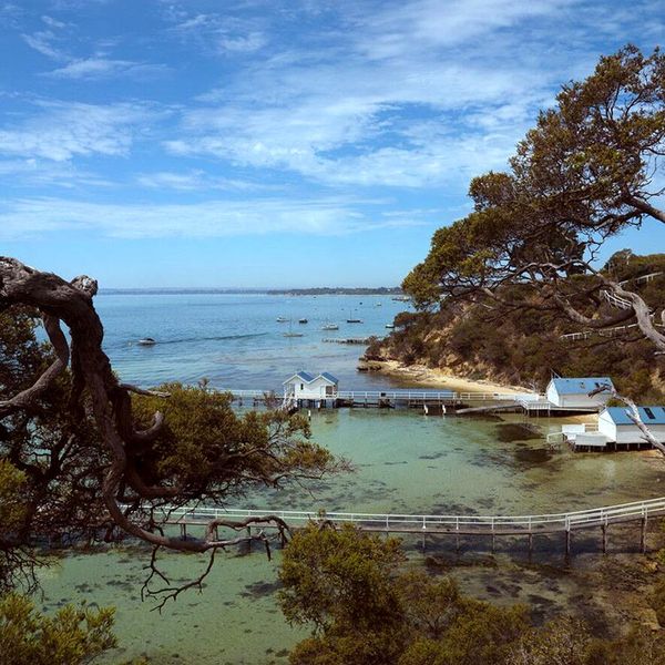 Mornington-Peninsula-walk near Sorrento