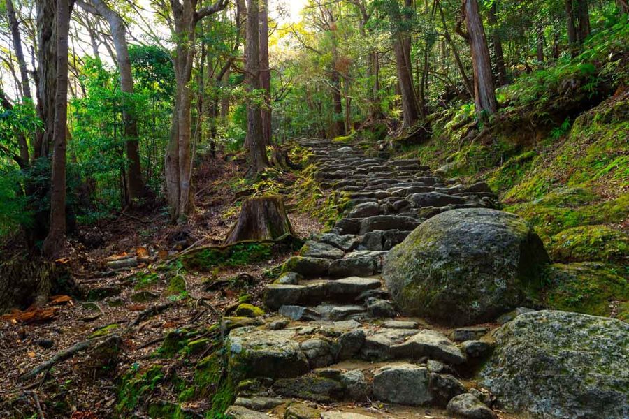 Mossy stone path kumano kodo