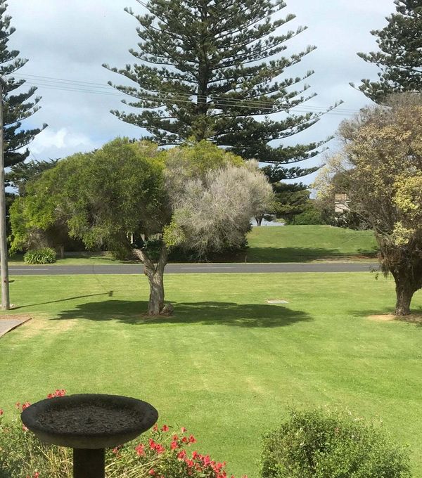 Nelson Cottage landscape