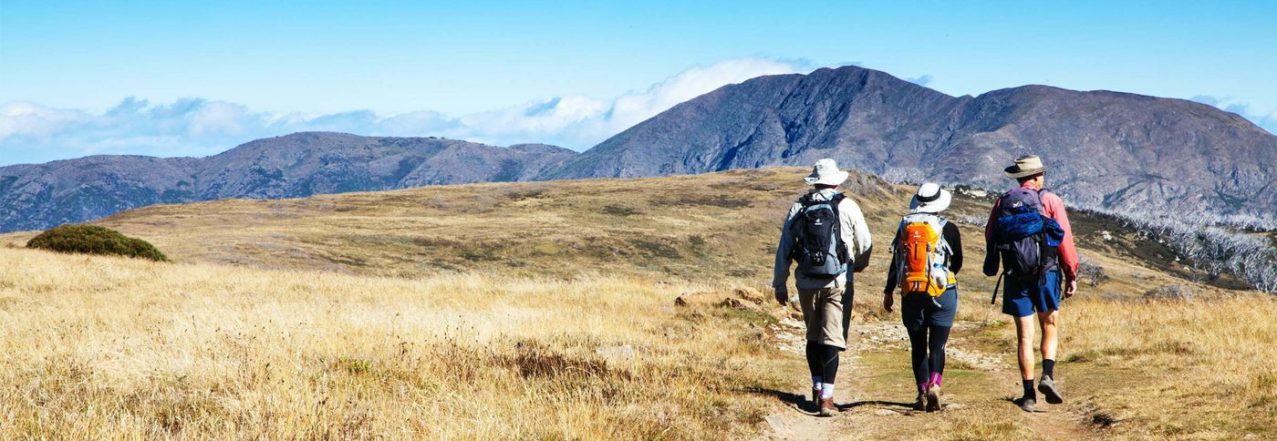 Three walkers walking the Great Alpine Walk