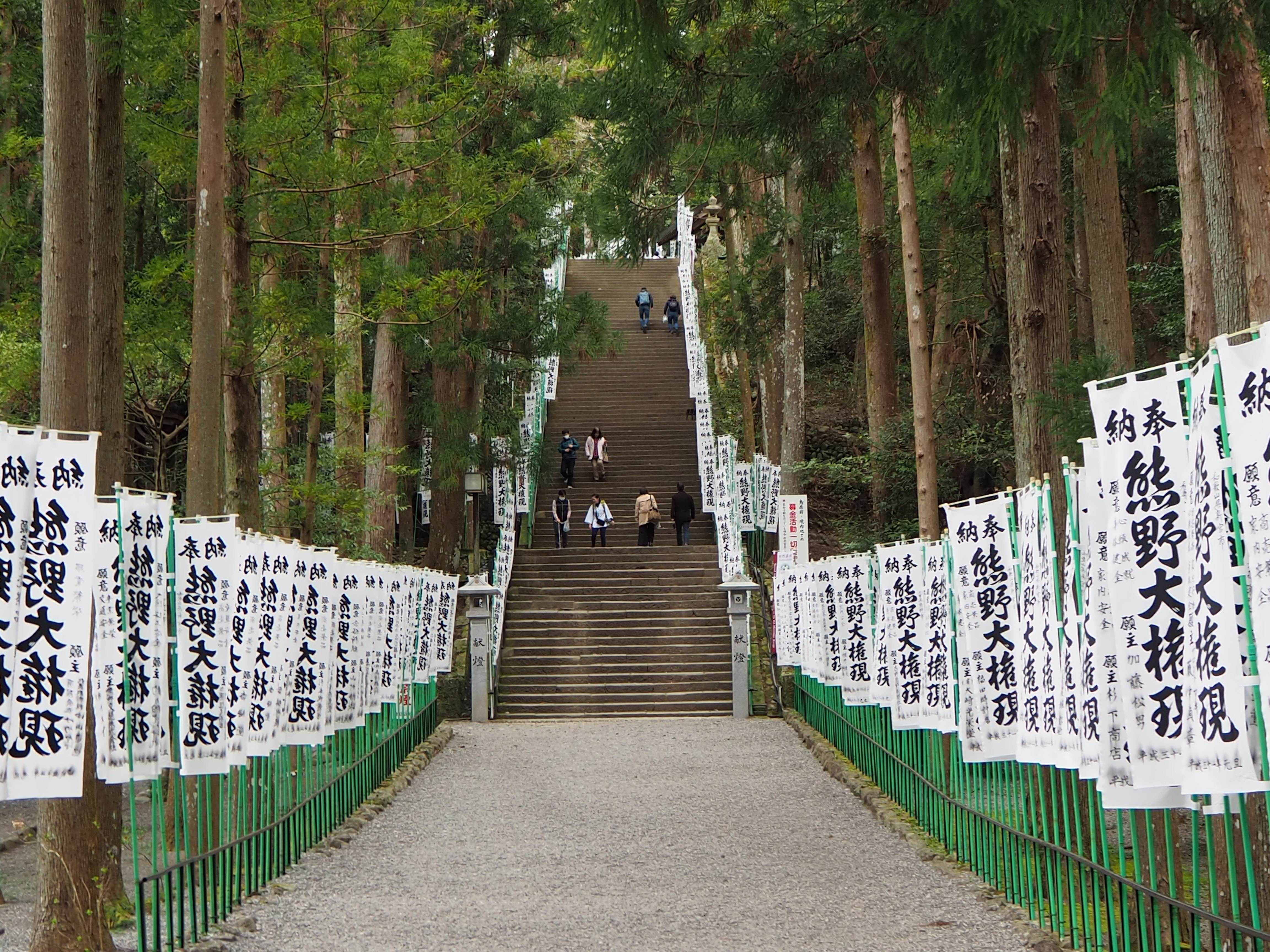Group-Guided Walks