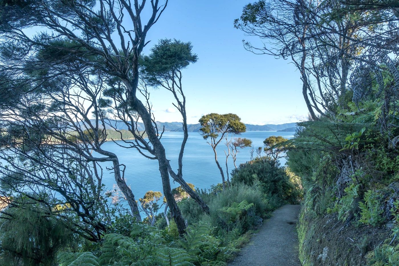 Panoramic-View-of-Marlborough-Sounds-Coastline