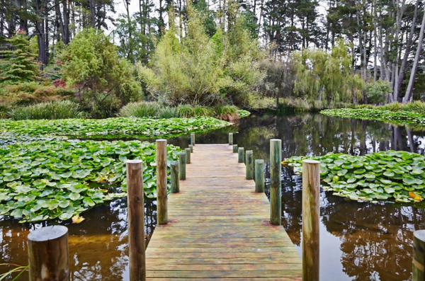 Parklands gardens