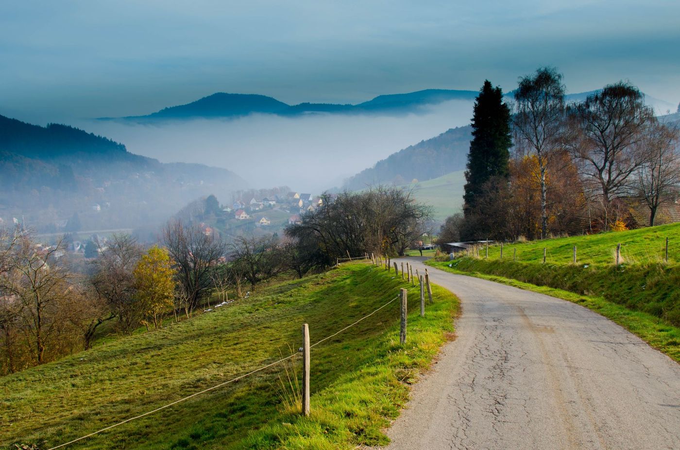 Path through the Vosges mountains in france