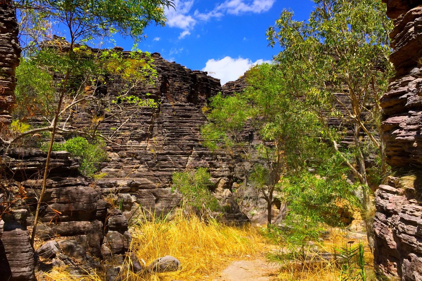 Path winding along the Bardedjilidji Walk near Cahill's Crossing in Kakadu National Park