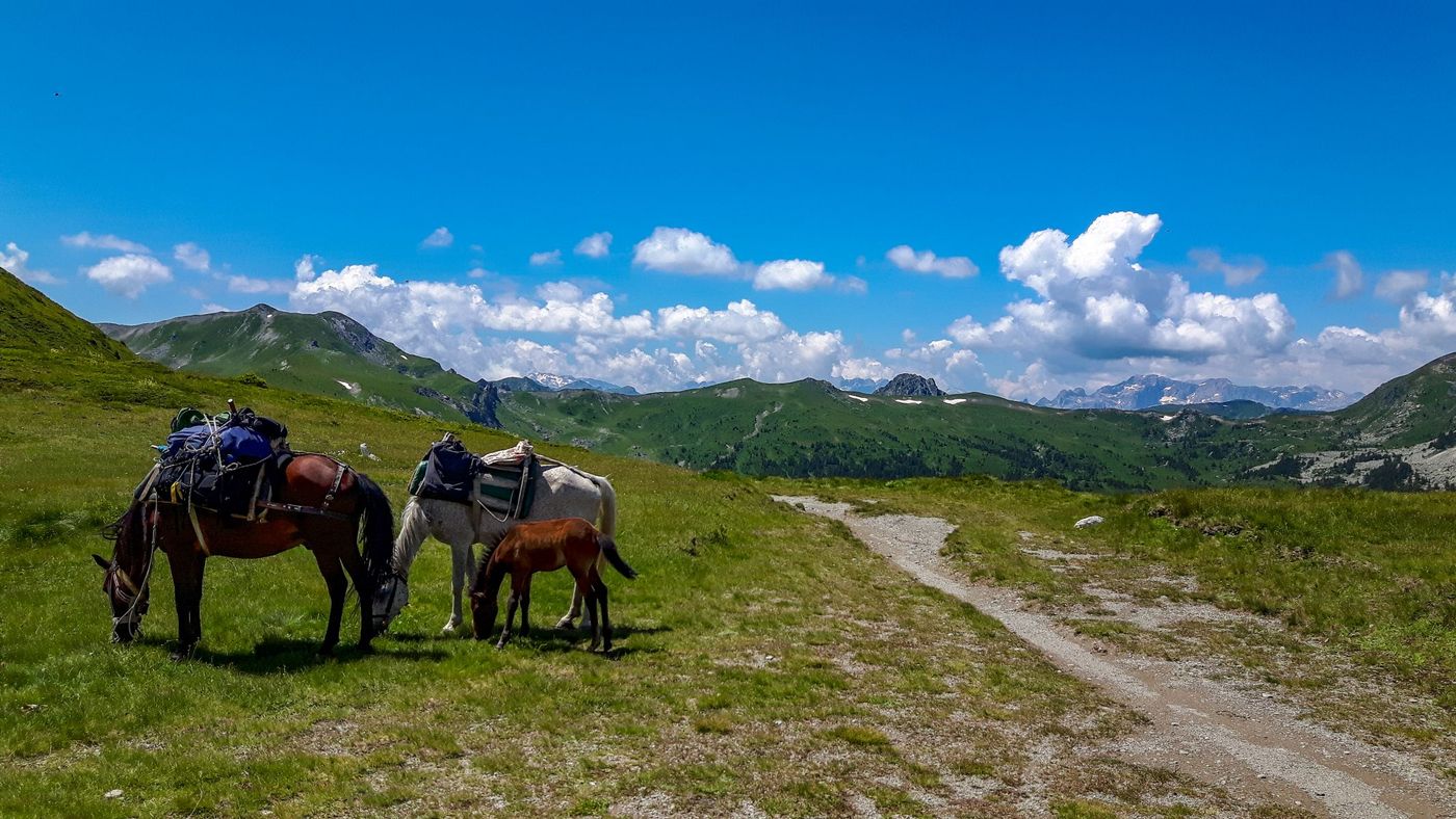Peaks of Balkans luggage carriers