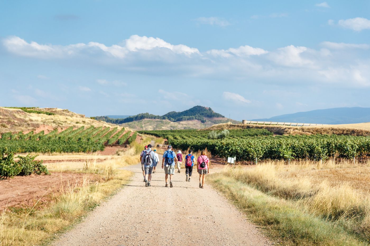 A,Group,Of,Pilgrims,Walking,The,Camino,De,Santiago,Along