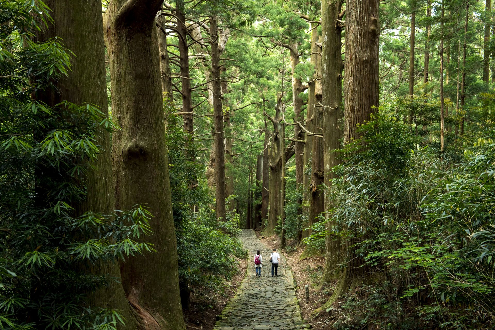 Wilderness Adventures