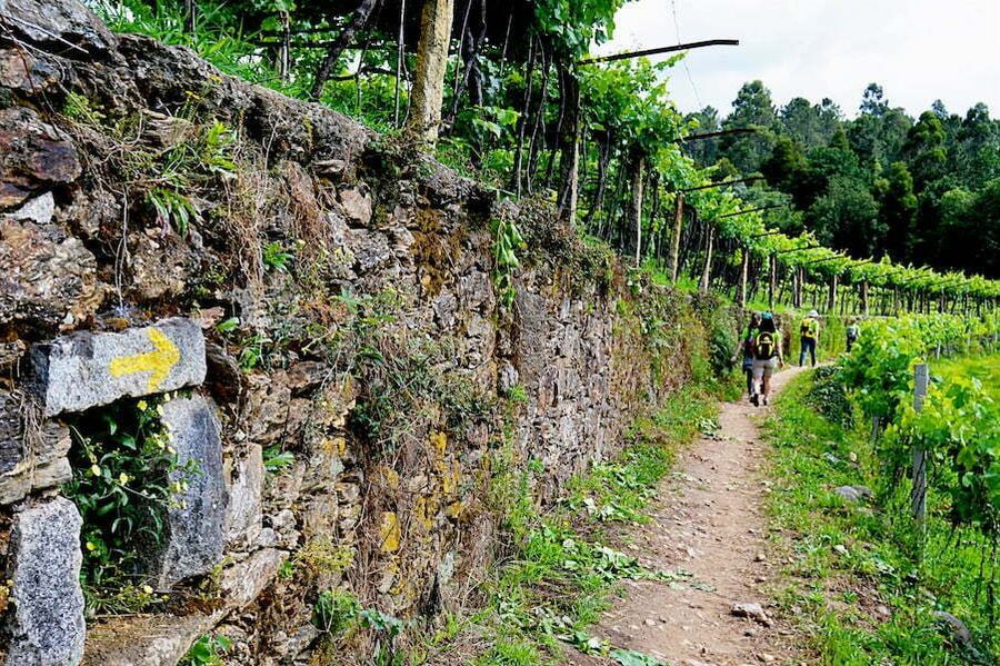Portuguese Camino (PGW) (12)