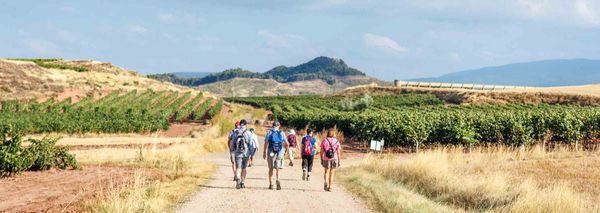 Camino Pilgrimage