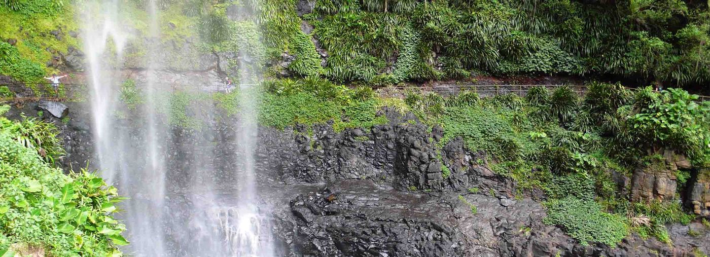 Gold Coast Hinterland Walks