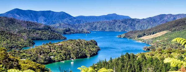 Queen Charlotte Walking Track - 6 Days Self-Guided Walk New Zealand