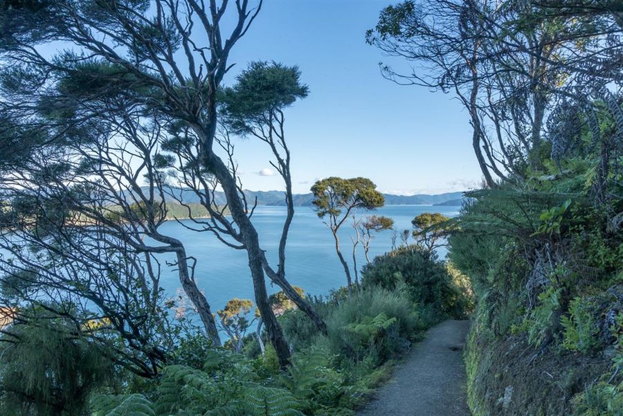 Queen Charlotte Track