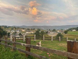 Camino Primitivo: The Original Way - 11 Days