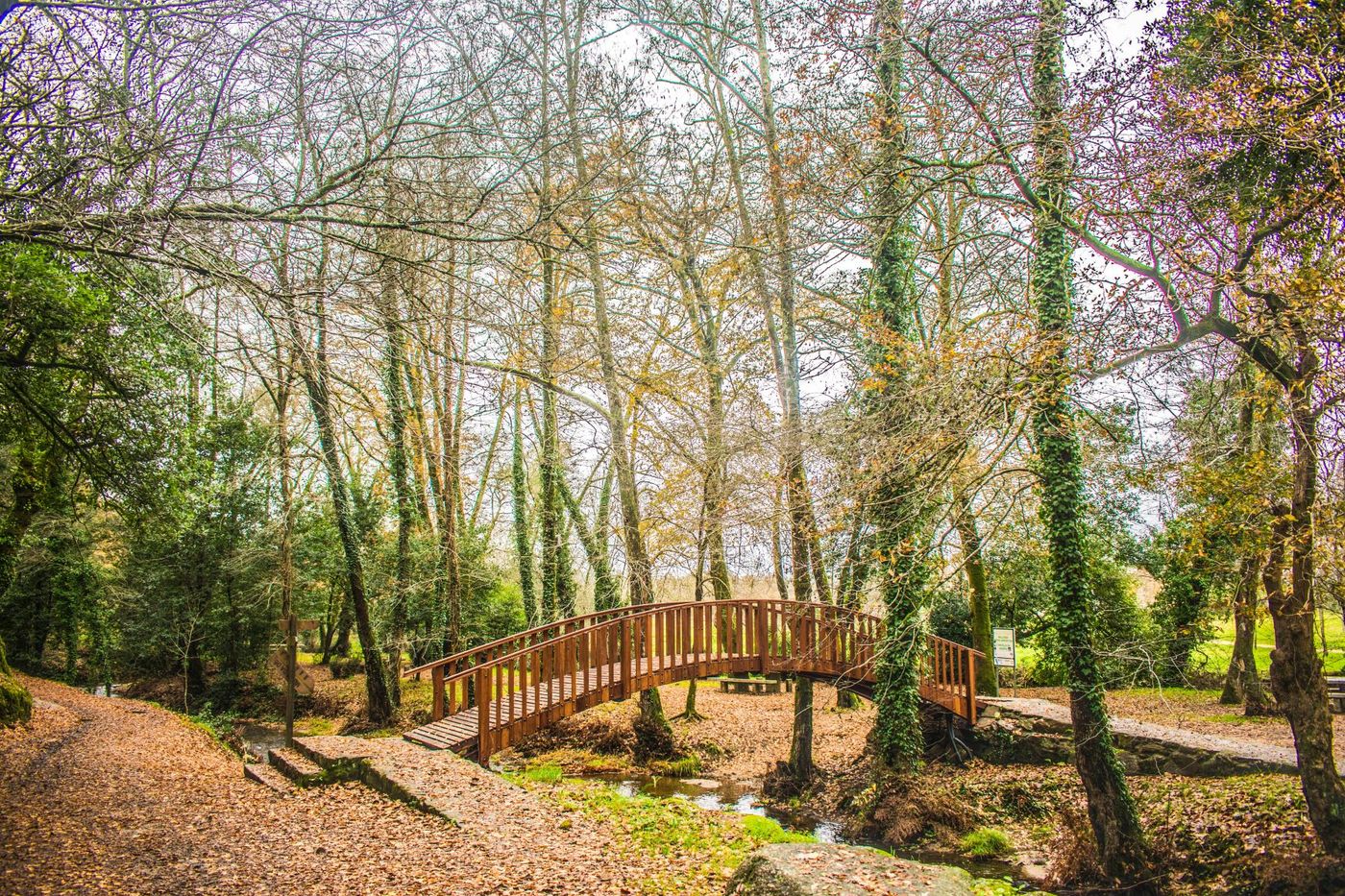 Rio Barosa Natural Park Pontevedra