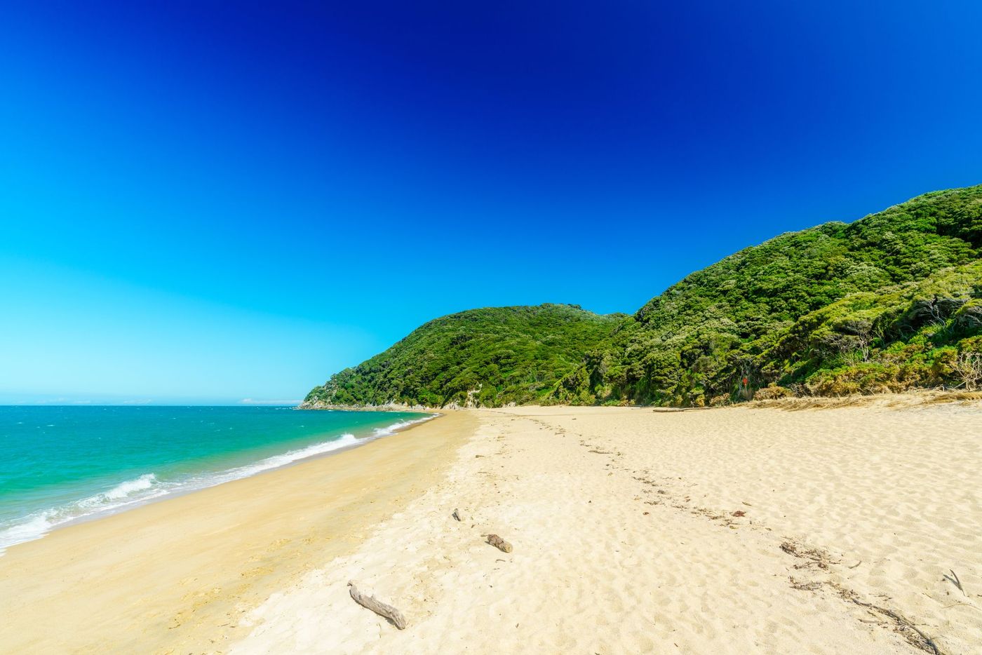 Secluded-Beach-in-Abel-Tasman