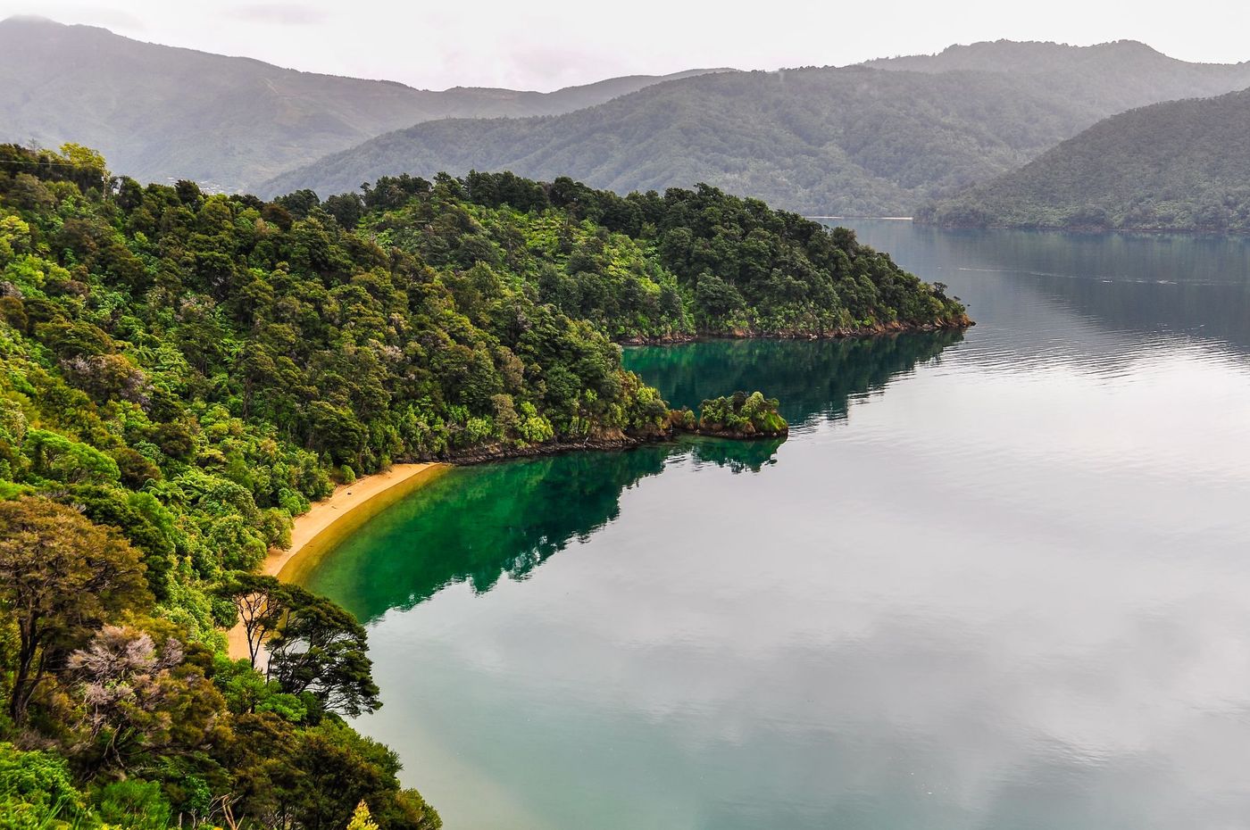 Secluded -Cove-in-Marlborough-Sounds