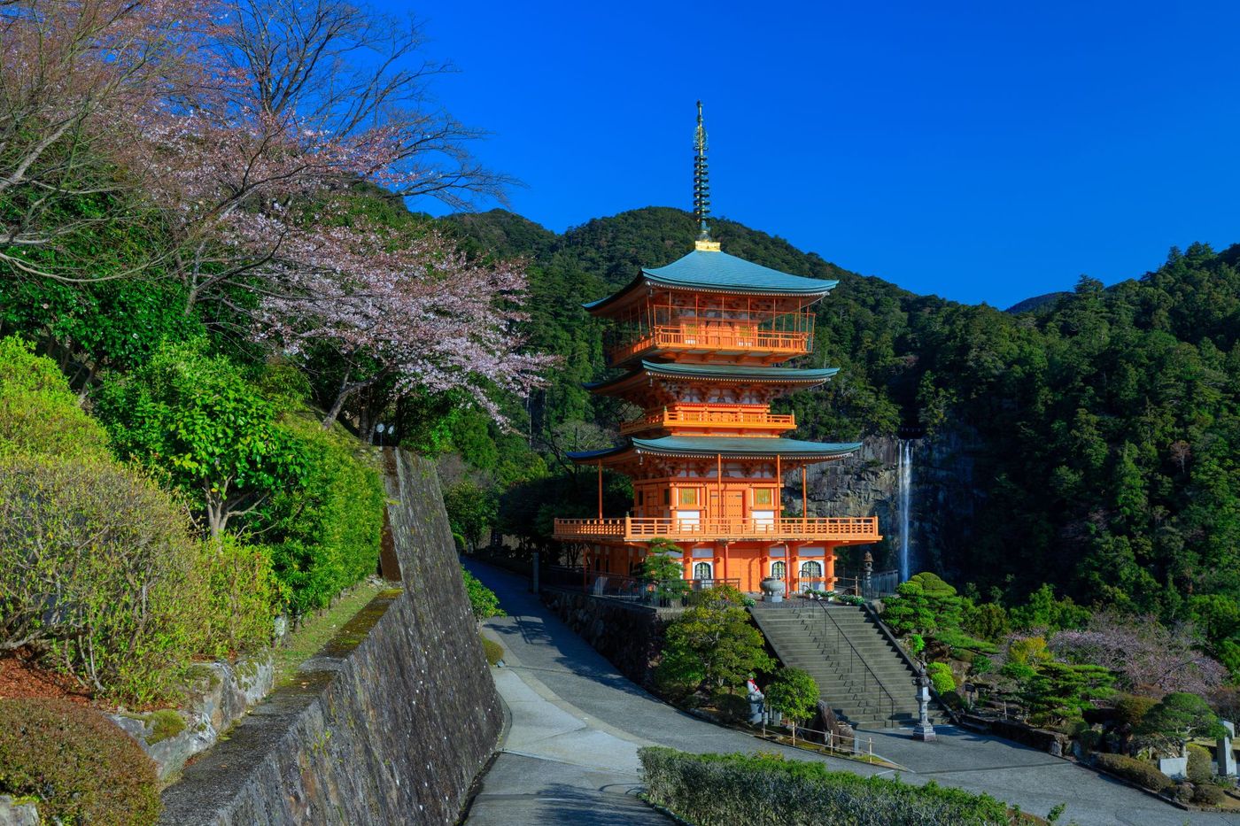Seiganto-ji-Pagoda-Nachi-Falls-and-Cherry-Blossoms