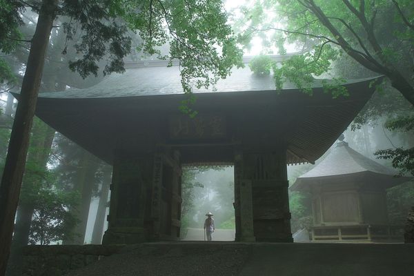 White-robed Shikoku pilgrim walking through a misty temple gate surrounded by ancient cedar forest, Shikoku 88 Temple pilgrimage walking holiday, Japan