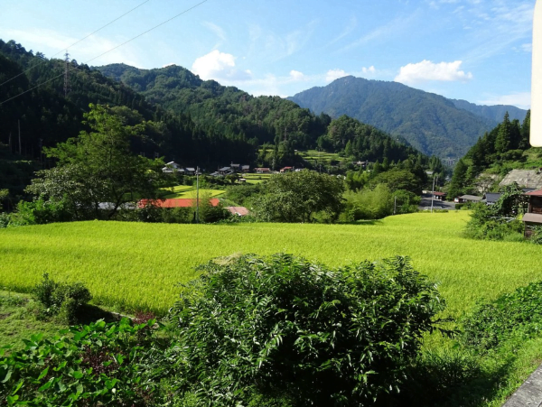 Shimosagaya Minshuku View