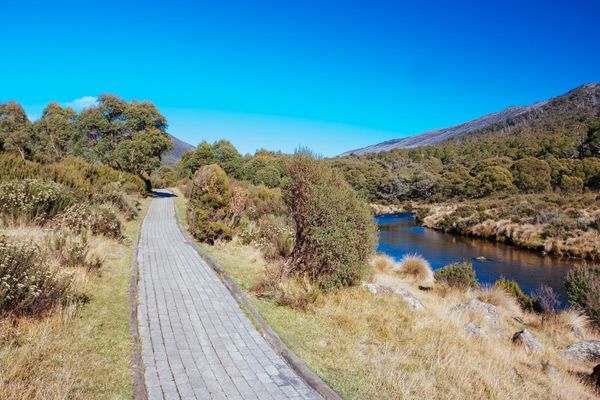 Snowy Mountains & the Snowies Alpine Walk