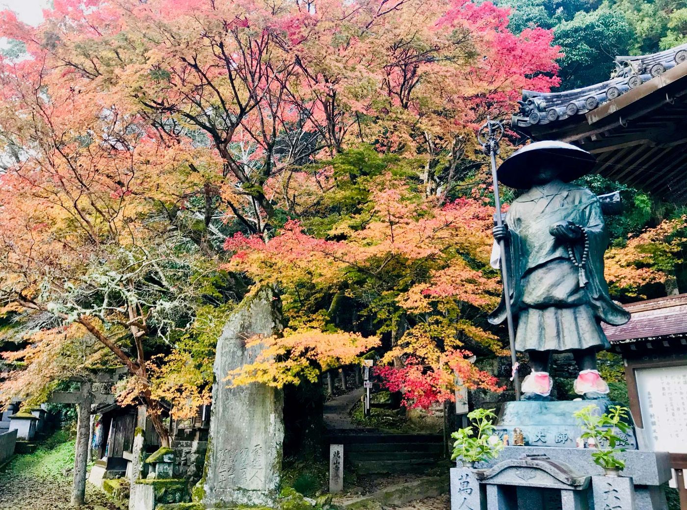 Statue Shikoku and autumn leaves