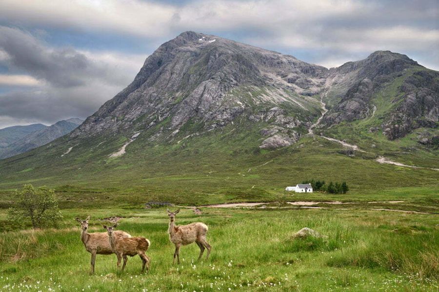 Stob Dhearg peak of Buachaille Etive Mor mountains