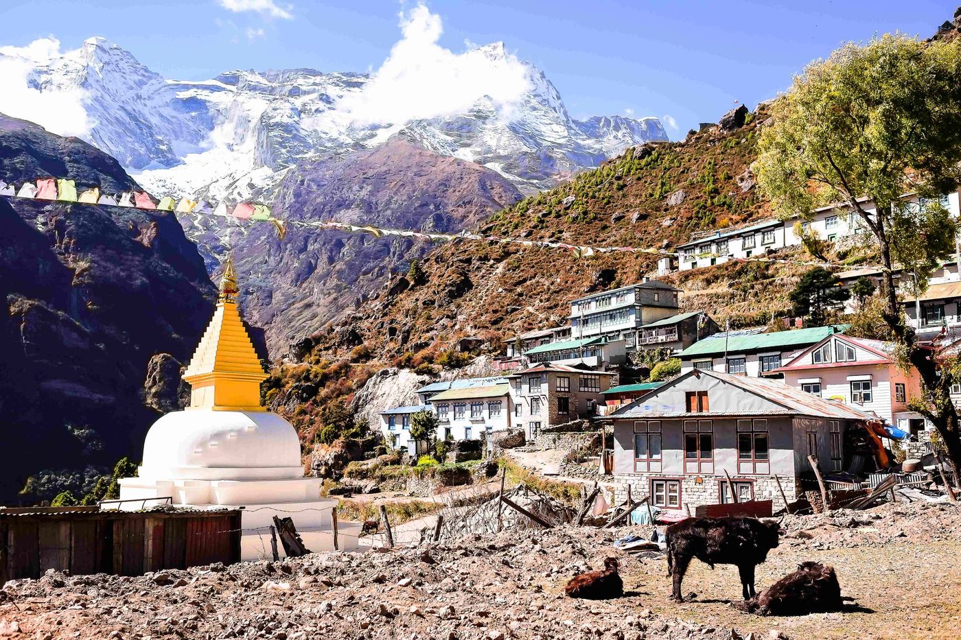 Stupa town and mountains EBC