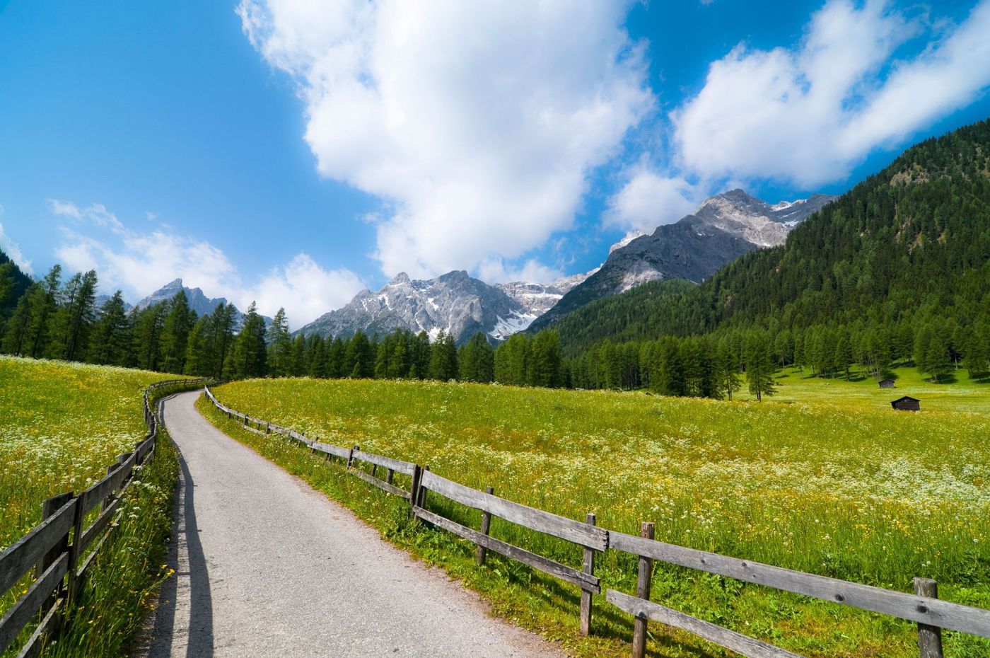 Sunny-Meadow-in-Val-Fiscalina.