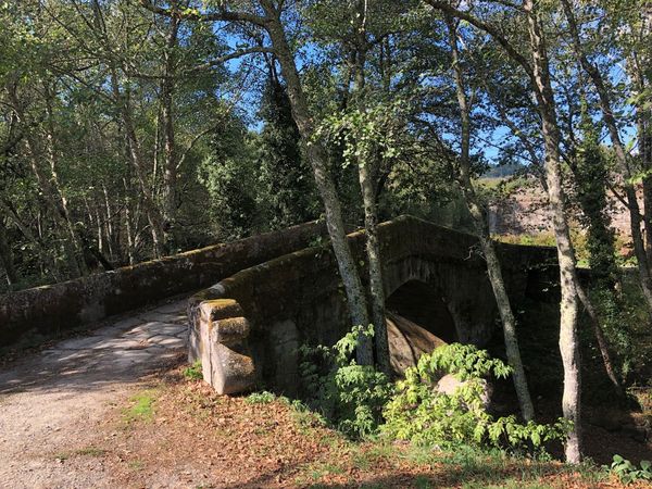 T19T Via de la Plata - Ourense a Santiago de Compostela