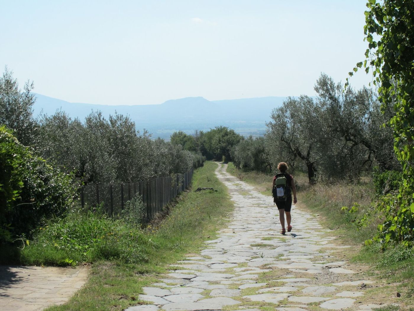 The Roman paving near Montefiascone S.Pietro Rome view Via Francigena
