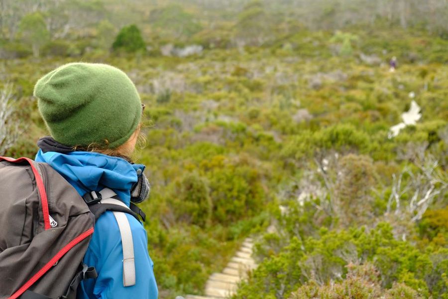 Three Capes Track