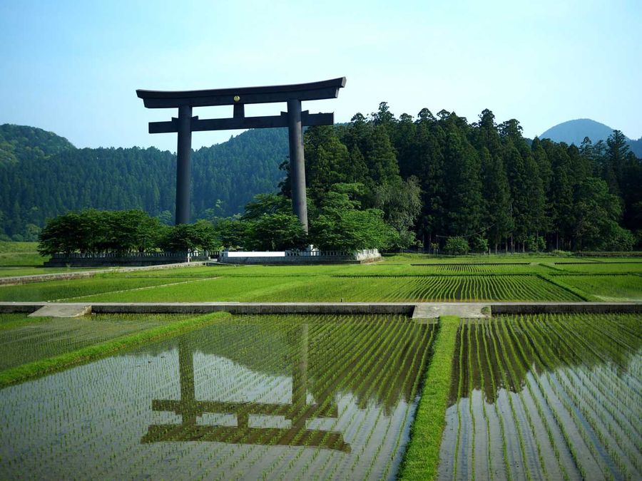 Tori Shrine Gate Hongu