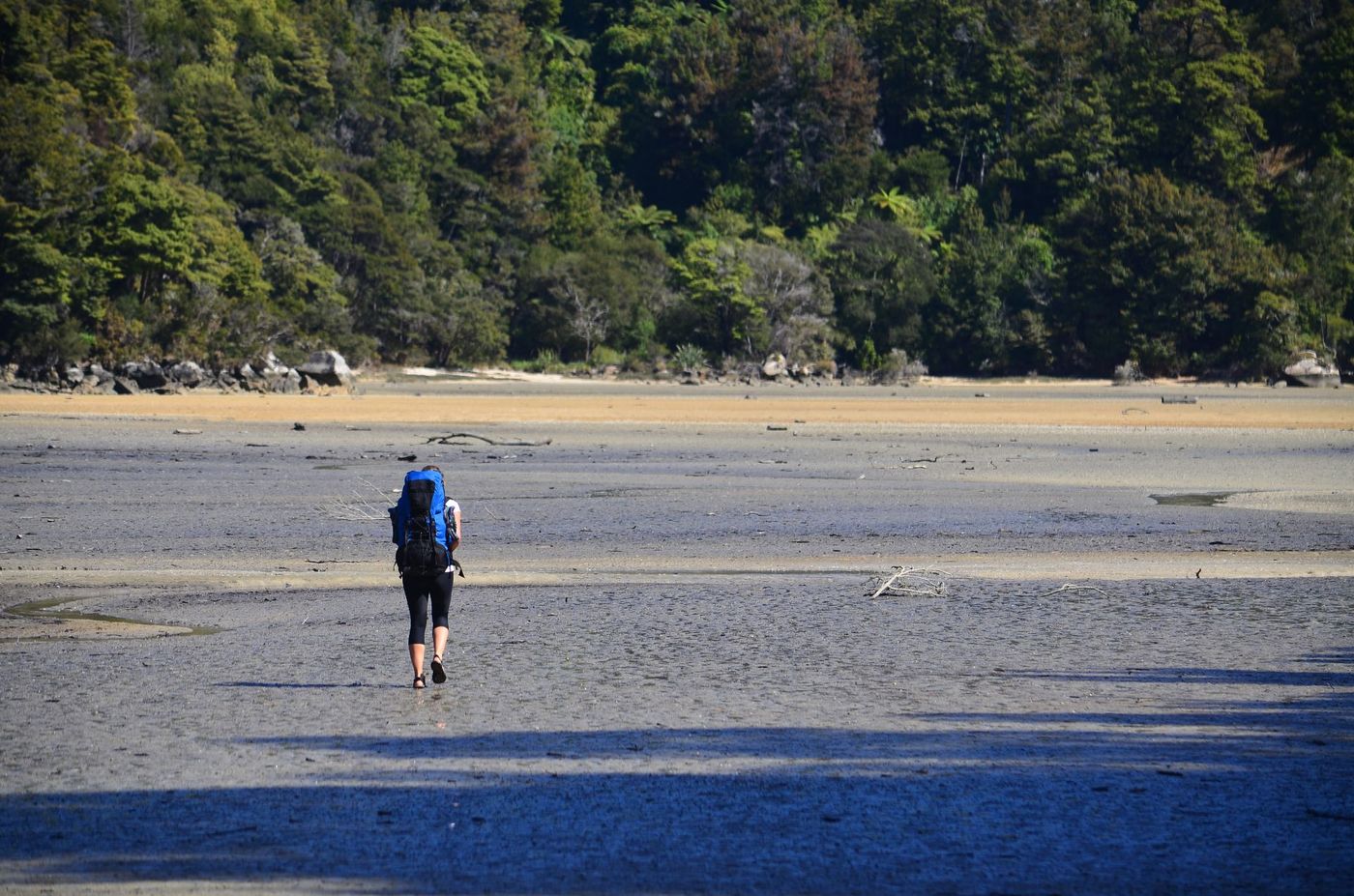 Trekking-Across-the-Torrent-Bay-Estuary-Abel-Tasman