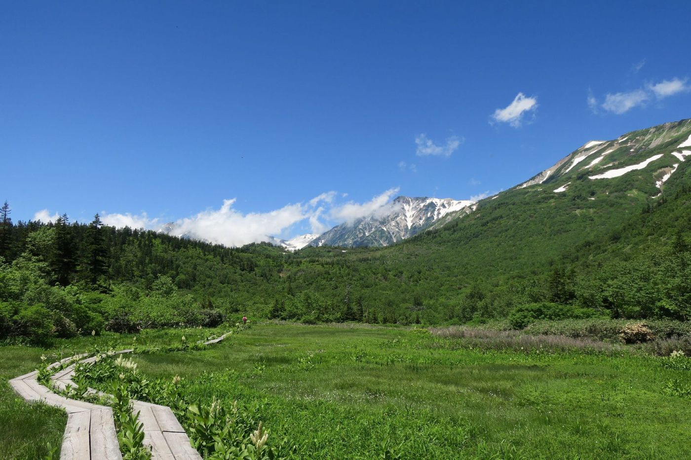 Tsugaike Nature Park at Nagano, Japan