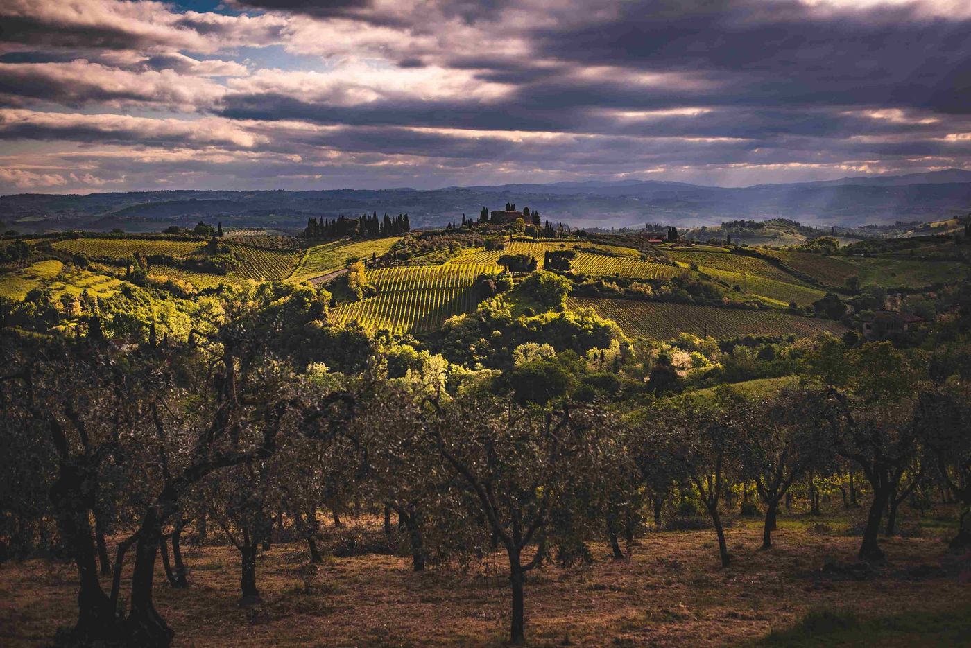 Tuscan countryside for web