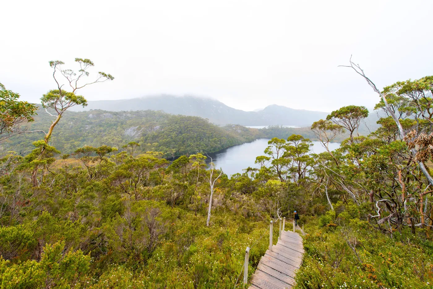 Tasmania Cradle Mountain