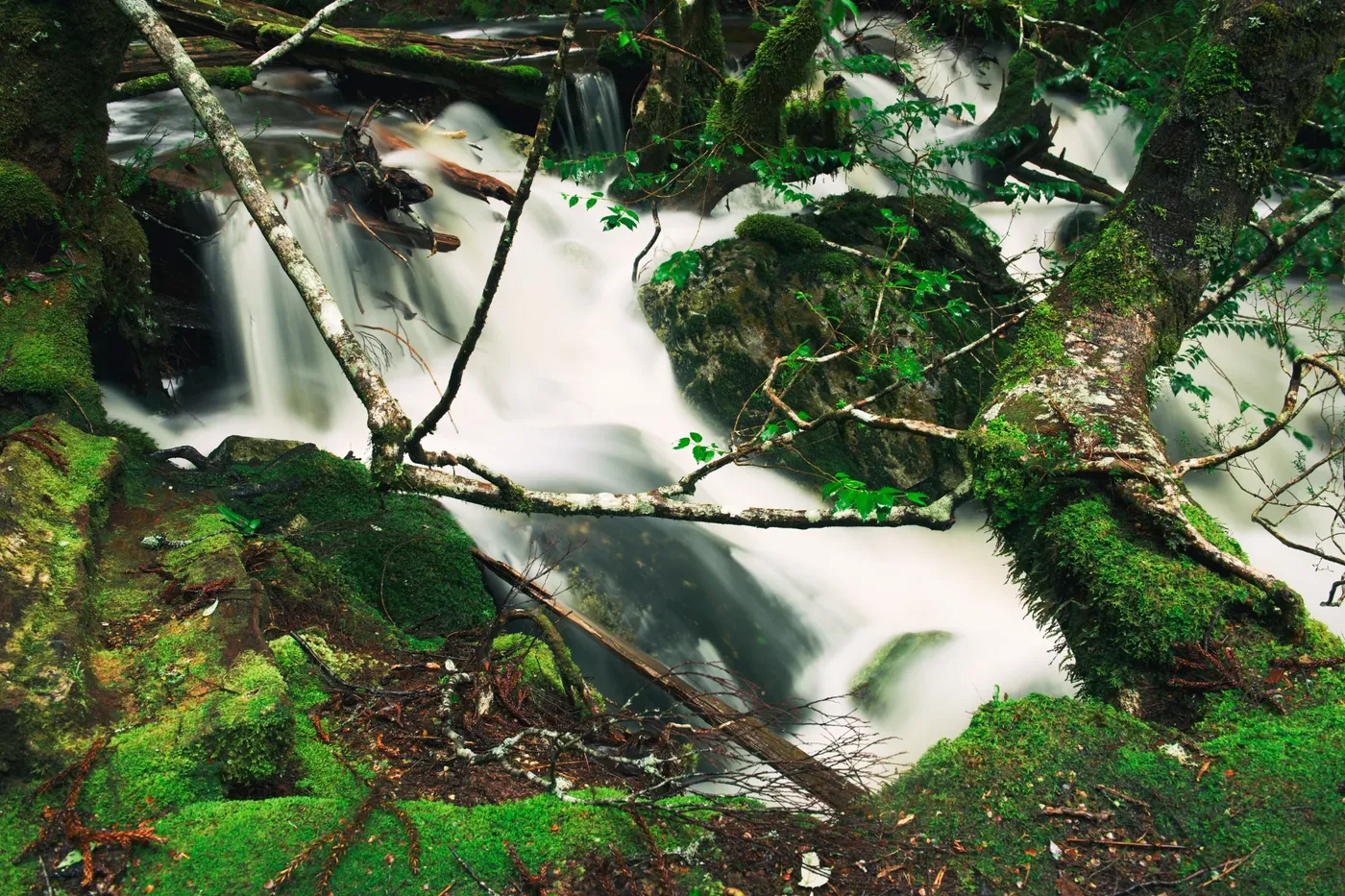 Knyvet Falls