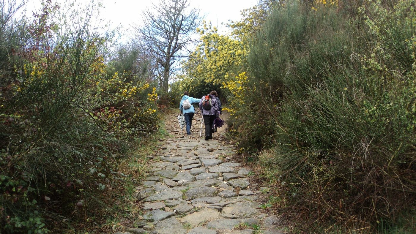 Via De La Plata Camino Way