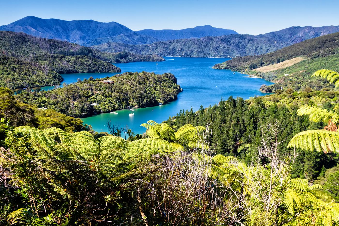 View-of-bays-in-Queen-Charlotte-Sound-Marlborough-region