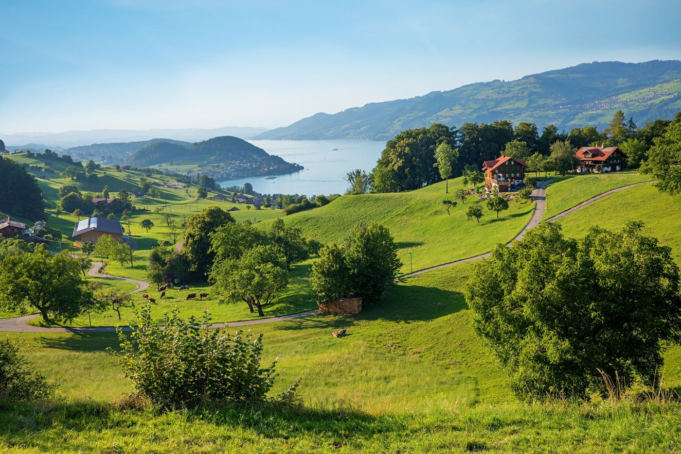 View of rolling green hillsides dotted with traditional chalets and trees near the village of Krattigen, Switzerland.